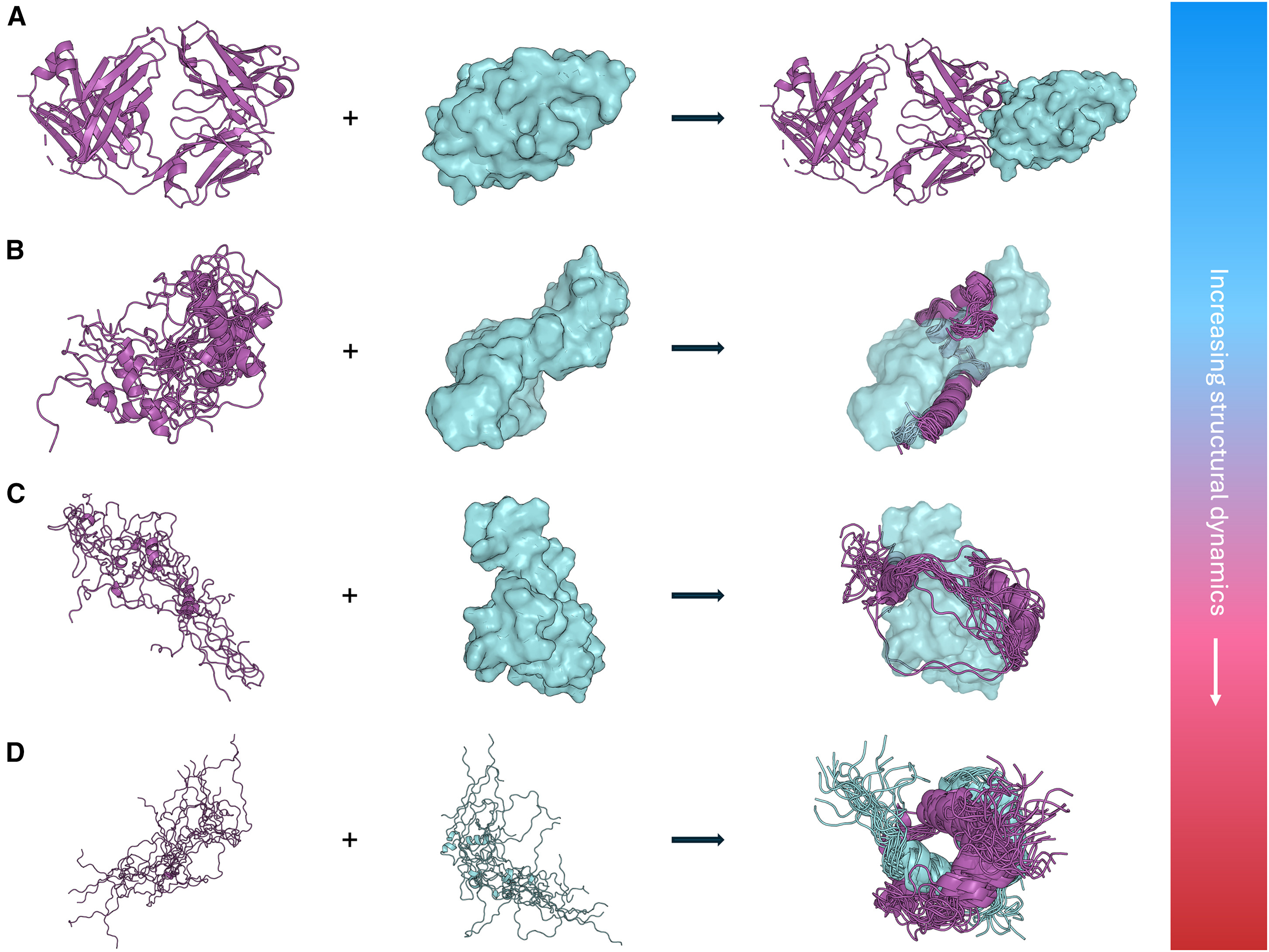 Figure from Predicting protein interfaces in the age of AlphaFold: Why dynamics and disorder remain a challenge