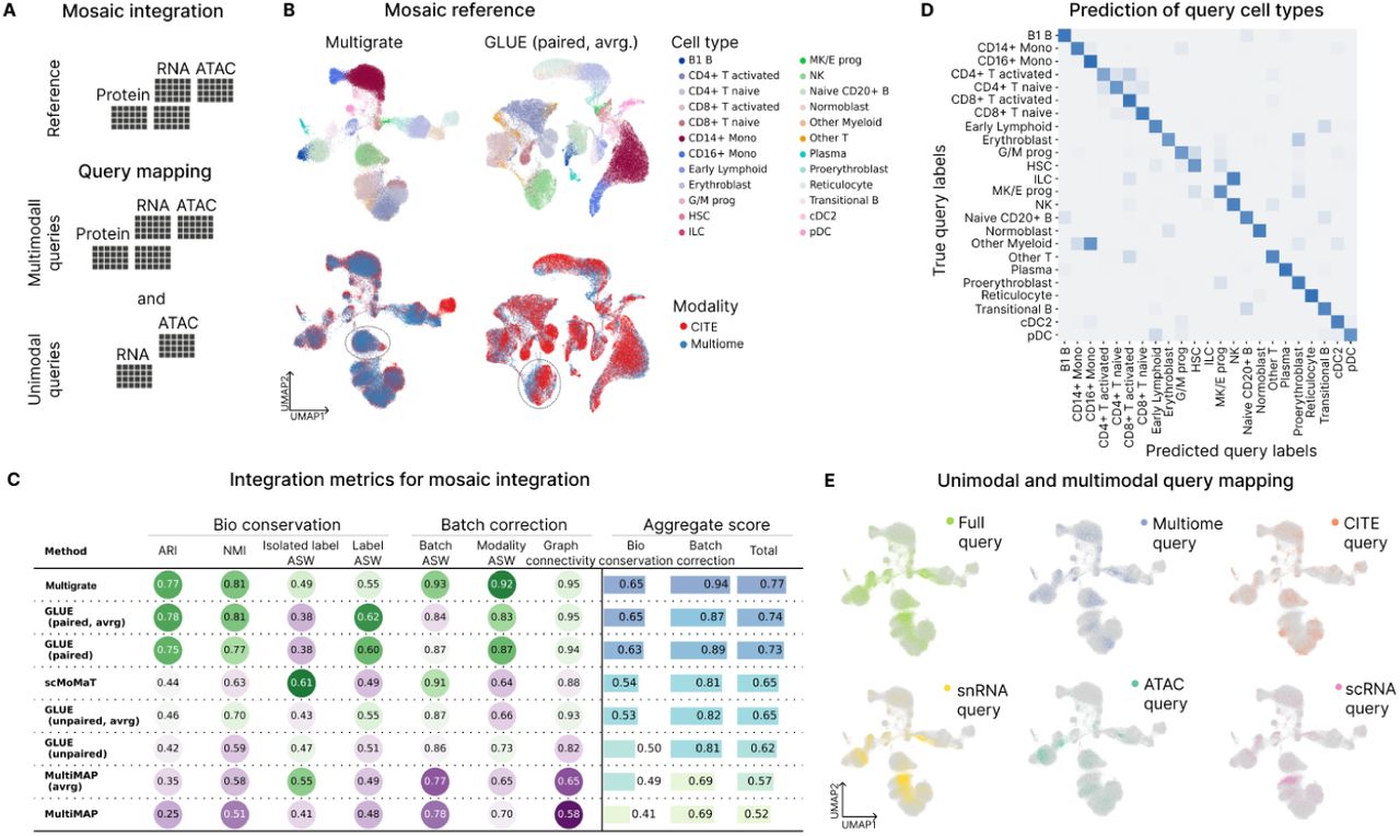 Figure from Integration and Querying of Multimodal Single-Cell Data with PoE-VAE